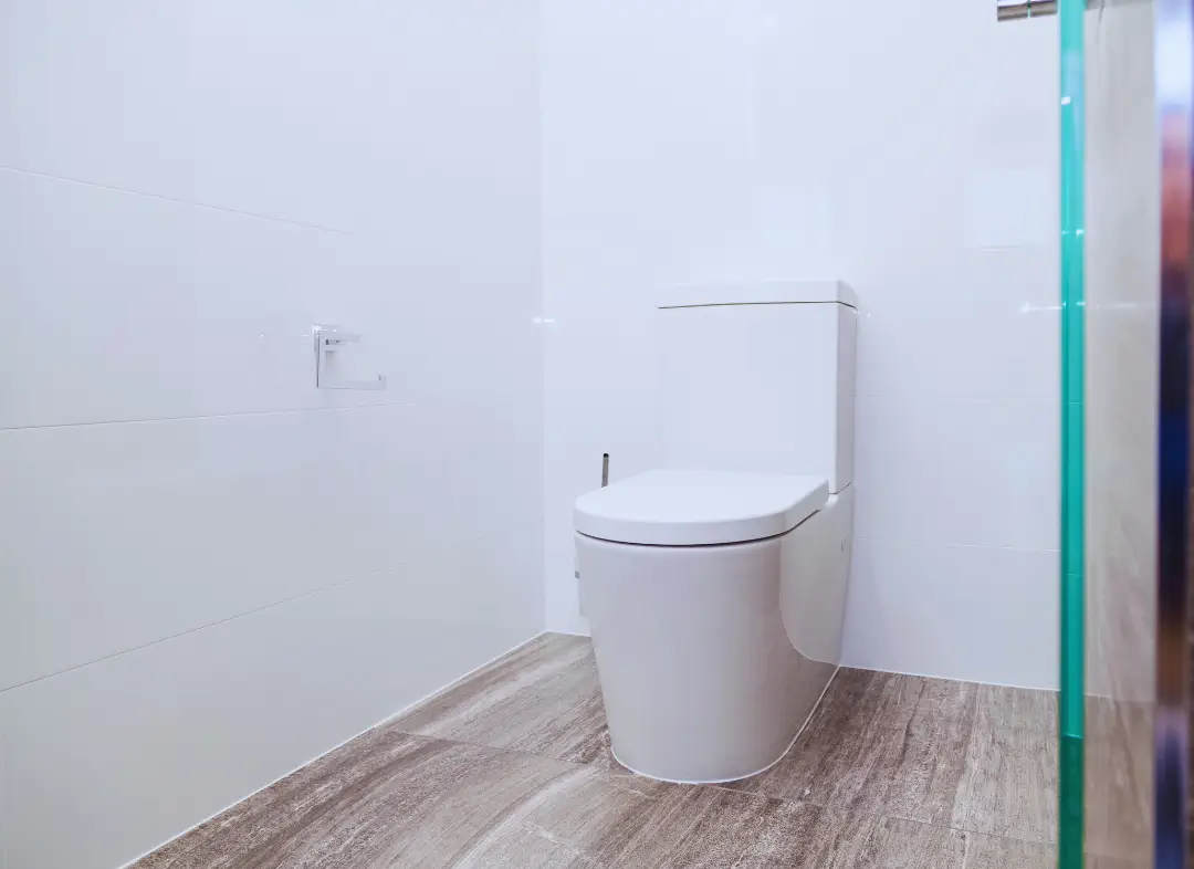 Remplacement de wc Saint-Vincent-de-Paul